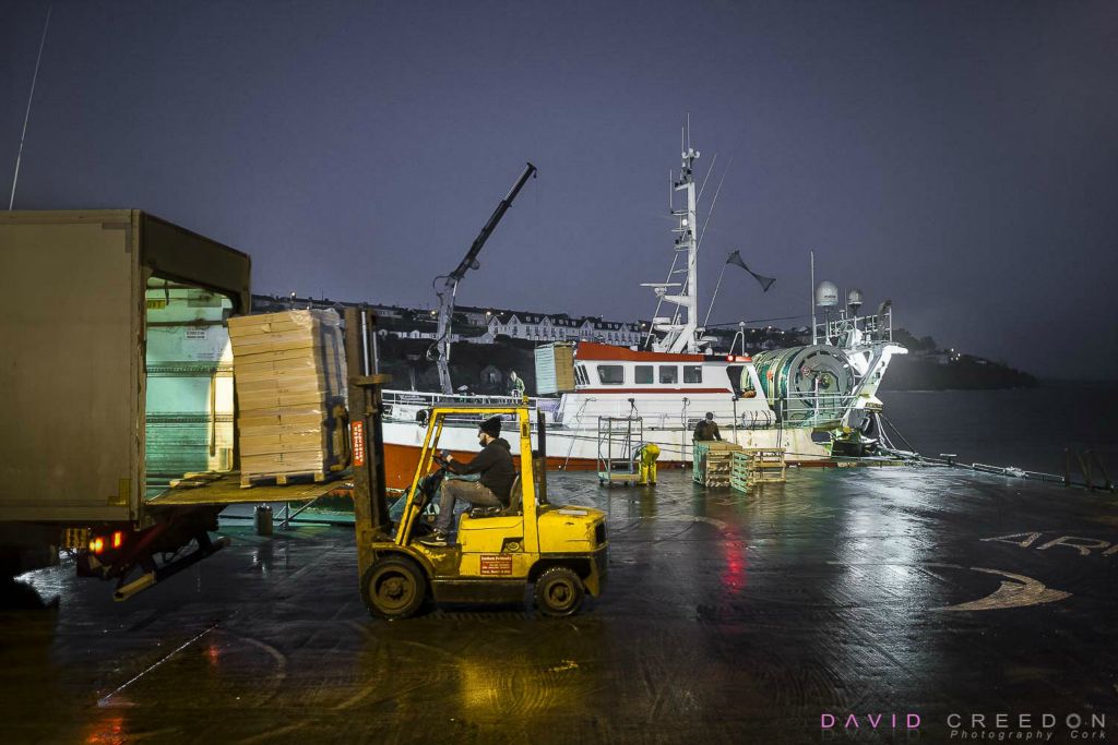 Offloading Prawns from the trawler Western Venture and loading them straight to market