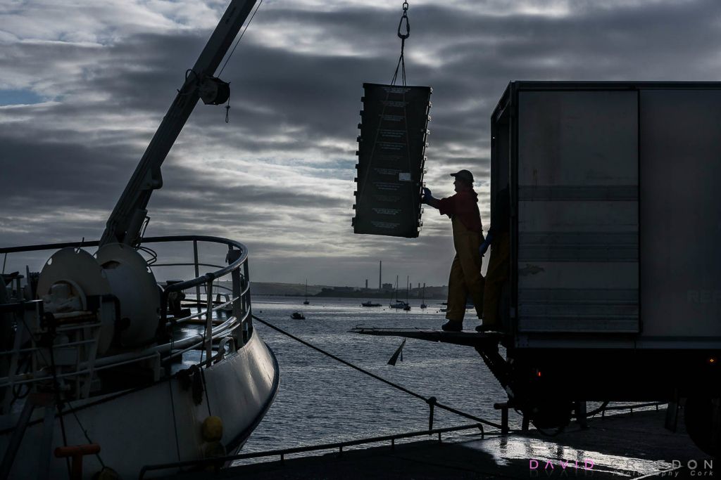 Offloading the Trawler Buddy M at Crosshaven