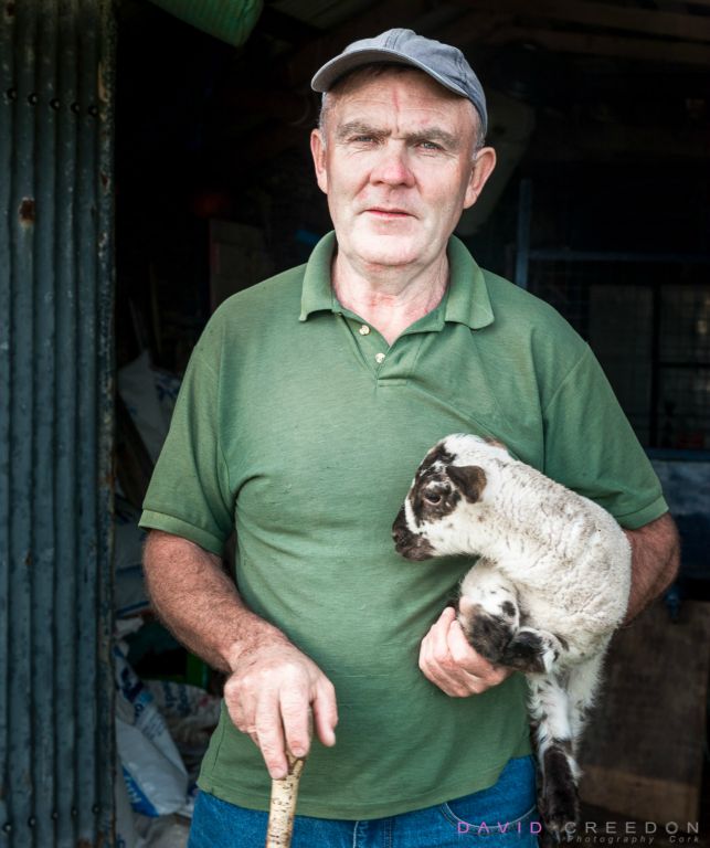 Hill Farmer, Dursey Island