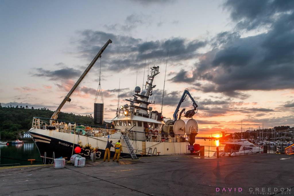 Crew members of the trawler Buddy M load empty fish boxes onto the boat at sunrise in Crosshaven Co. Cork, Ireland. 