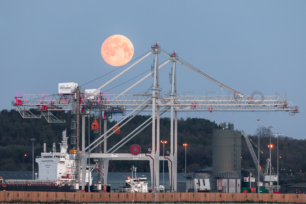 Pink Moon at Ringaskiddy Docks