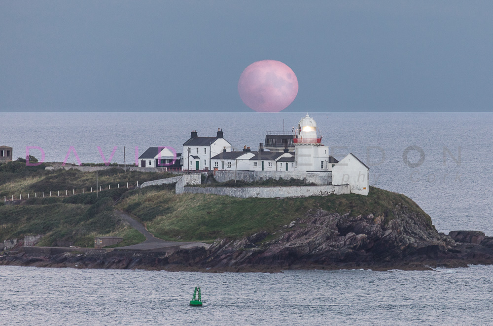 Harvest Moon at Roches Point II