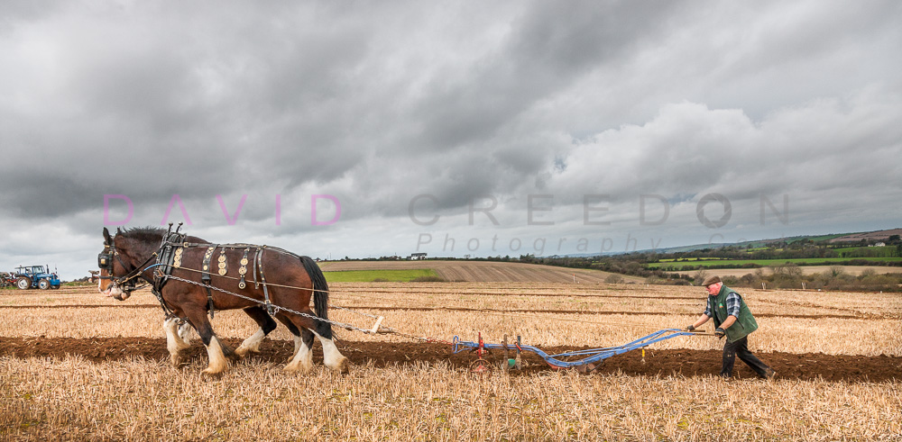 Horse and Plough, Co. Cork