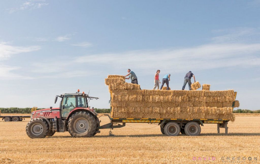 Saving Hay, Co. Cork