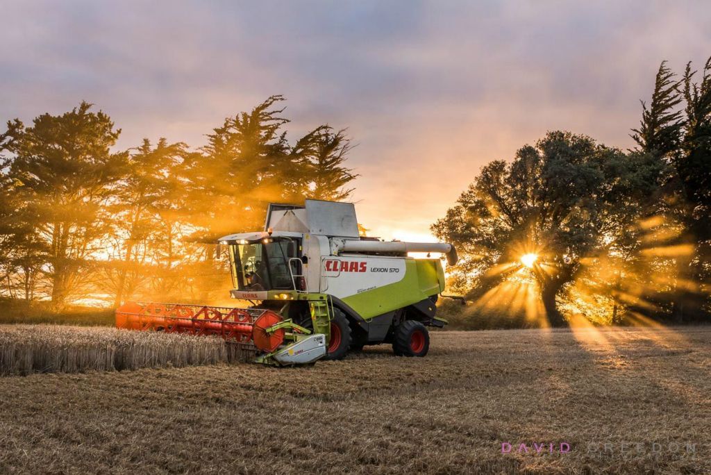 Harvest Time in East Cork