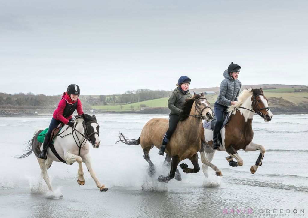 Galloping ponies on the shore at Harbour View strand, Co. Cork, Ireland.