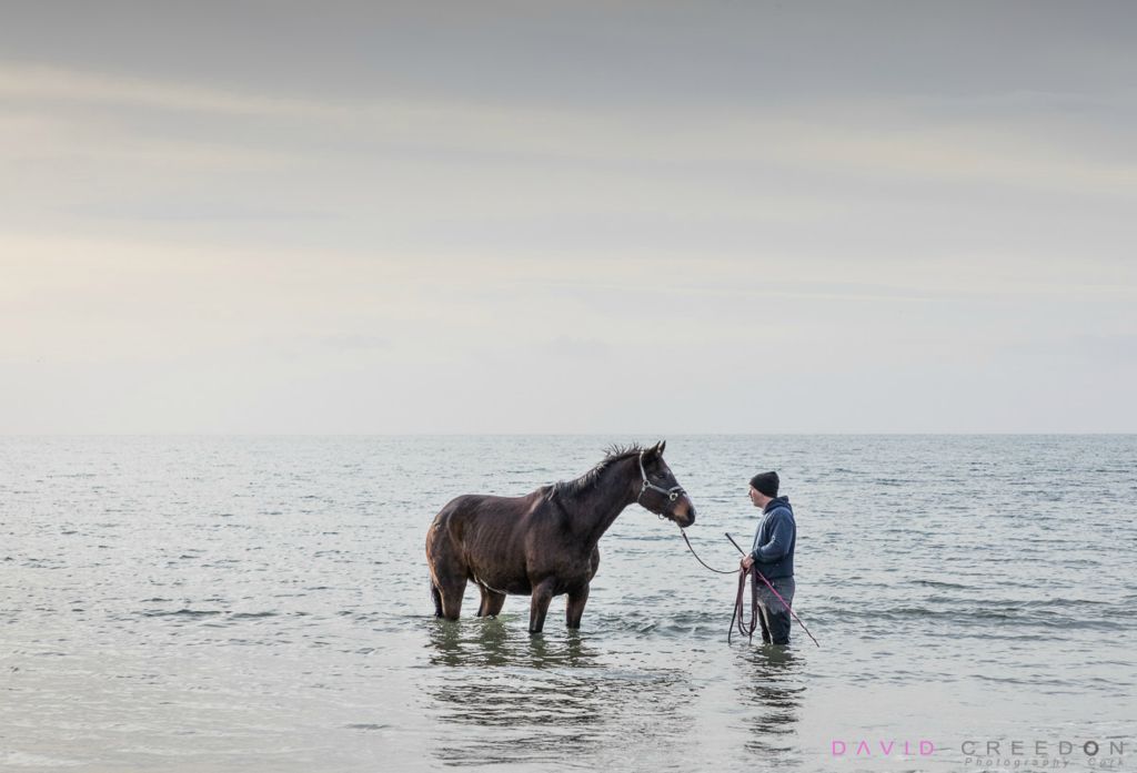 Wayne Santry talks to his 10 year old event horse 'Jack' who is having some salt water treatment for a cut on his leg at Garrettstown, Co. Cork, Ireland. 