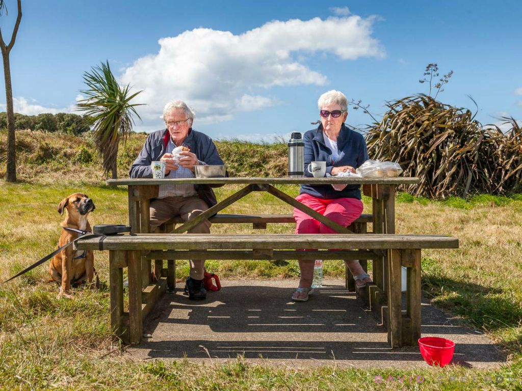 Billy and Ursula Northridge from Bandon having lunch while their Bull Mastiff Winston waits for scraps at Garrylucus, Co. Cork, Ireland. 