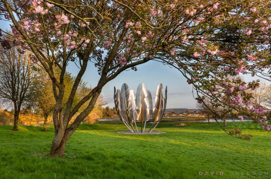 A blooming Cherry Blossom tree frames the Sculpture, Kindred Spirits which commemorates the 1847 donation by the Native American Choctaw in Midleton, Co. Cork, Ireland. 